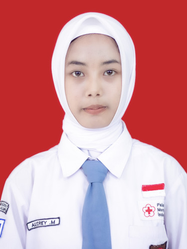 AUDREY MARETSAALFAREZ.jpg
