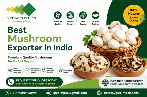 Best Mushroom Exporter in India – Premium Quality Mushrooms for Global Buyers.png