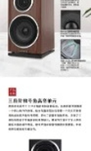 翻译后详情图0 9.jpg