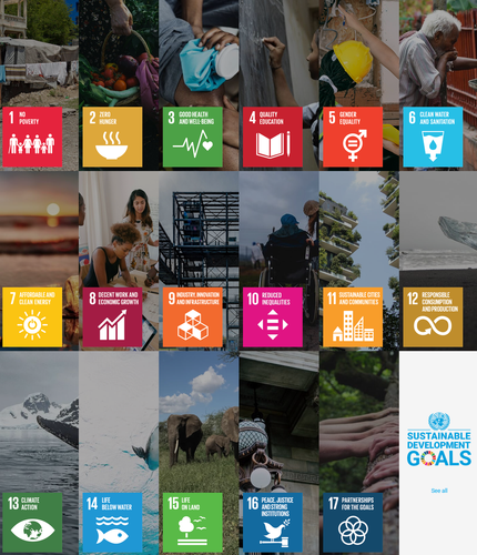 sdgs.png