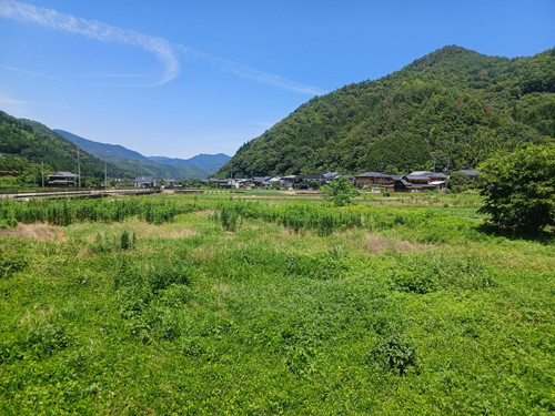 20230704 122048.jpg