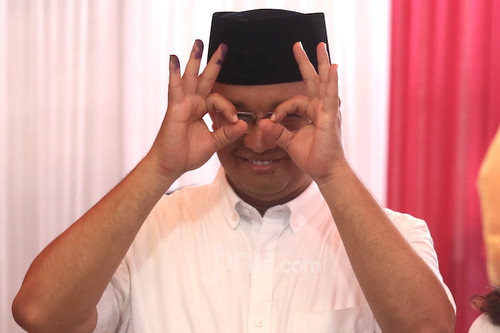 pleciden anis.jpg