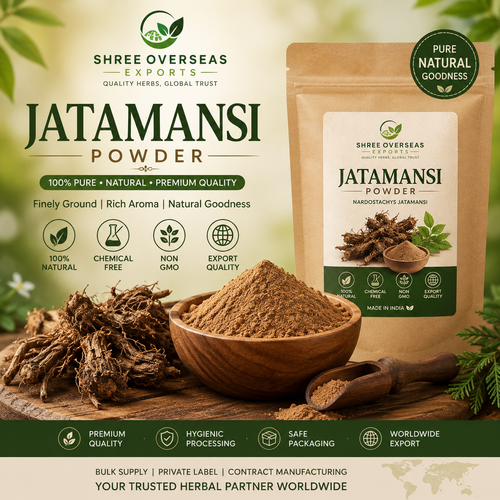 Jatamansi Powder for Herbal Products Quality, Applications, Bulk Supply and Export Guide.png