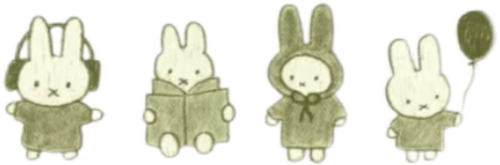 IMG 4157.png