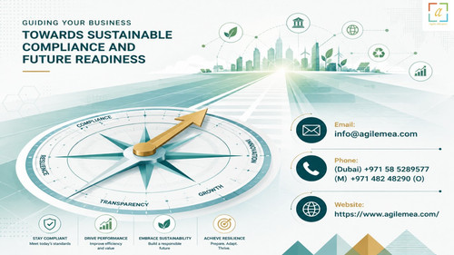 Sustainability reporting consultant in UAE.jpg