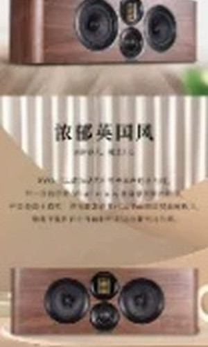 翻译后详情图0 5.jpg