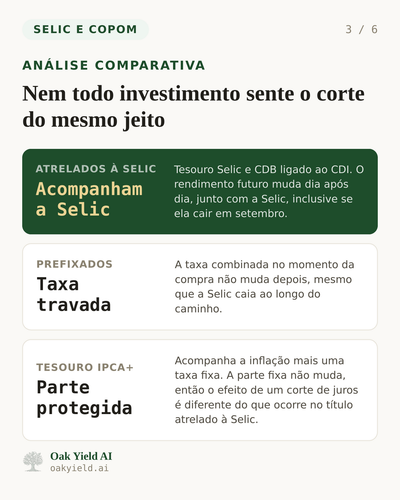 slide 03.png