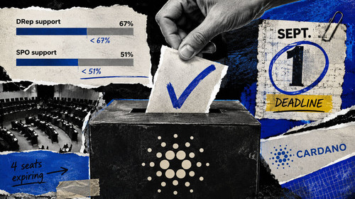 cardano committee ballot.jpg