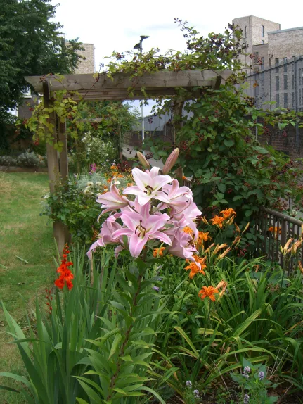 cimg5275.webp