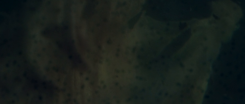 The.Banished.2025.1080p.BluRay.DDP5.1.x264 ZiGZAG 01 22 17 463.png