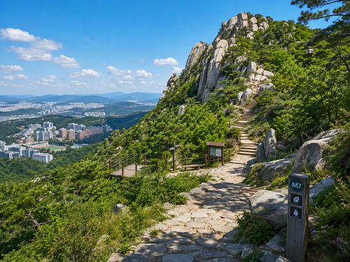 ChatGPT Image 2026년 8월 24일 오후 02 00 58.png