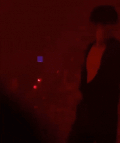 IMG 5006.gif