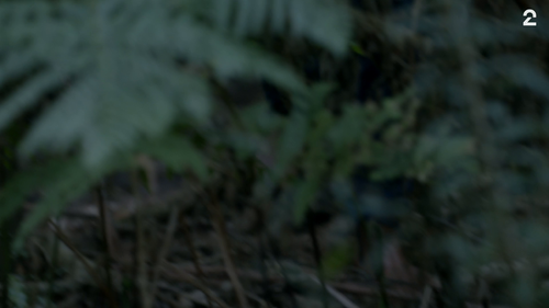 shot10.png