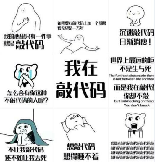程序员系列表情:我在敲代码