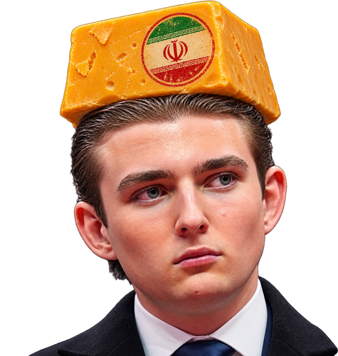 IMG 0221.png