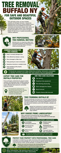 Tree Removal Buffalo NY for Safe and Beautiful Outdoor Spaces.png