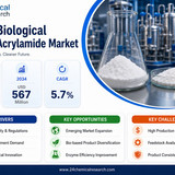 Biological Method Acrylamide Market