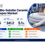 Bio Soluble Ceramic Fiber Ropes Market