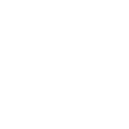 单张.png
