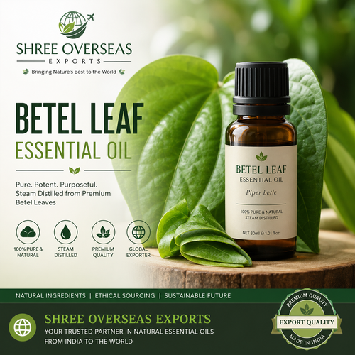 Betel Leaf Essential Oil Manufacturer A Complete Guide to Premium Quality, Bulk Supply, and Global E.png