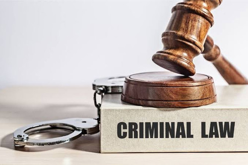 Experienced Criminal Lawyers in Delhi High Court for Strong Legal Representation.jpg