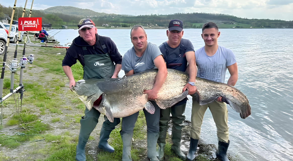 Gružansko jezero – šumadijski raj za ribolovce koji čuva svoje tajne