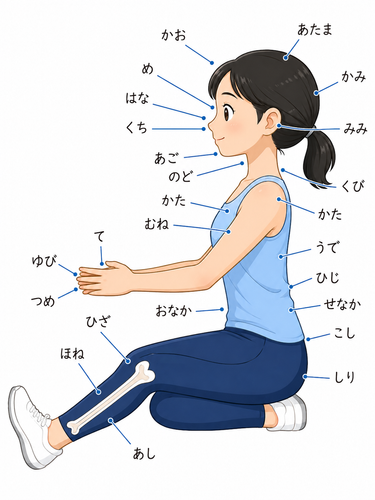 GAMBAR SEMUA BADAN.png