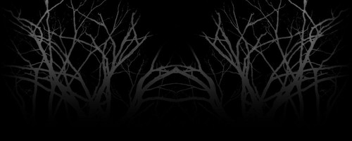 amy lee black dark.jpg