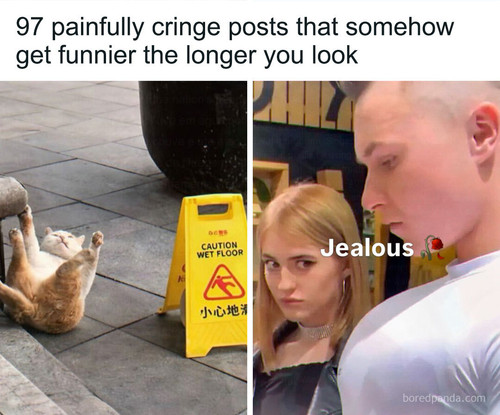 cringe painful memes.jpg