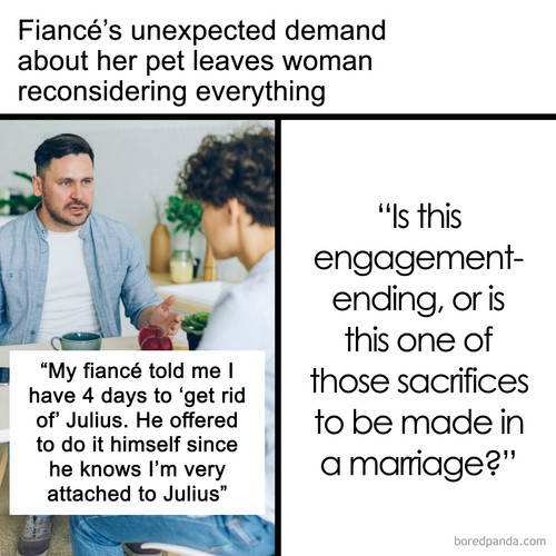 relationship advice fiance cat ultimatum.jpg