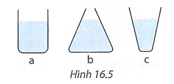 bai 16 7 trang 46 sbt khtn 8.png
