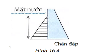 bai 16 6 trang 46 sbt khtn 8.png