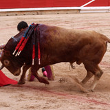 CEKu3rb.th.jpg