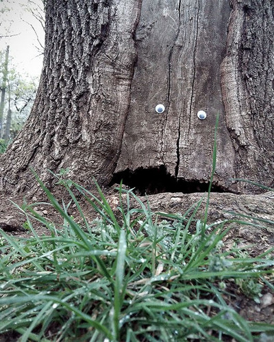 googly eyebombing street art bulgaria 9 592d2303c652b 880.jpg