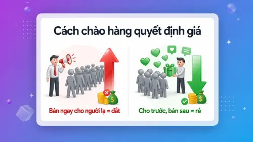 5.webp