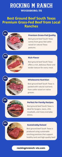 Best Ground Beef South Texas Premium Grass Fed Beef from Local Ranches.jpg