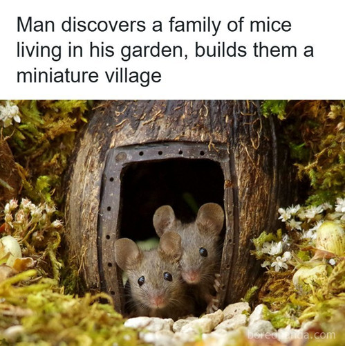 miniature mice family house simon dell.jpg