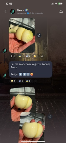 IMG 8088.png