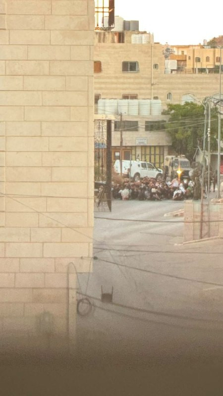 صورة الخبر