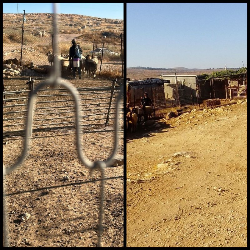 صورة الخبر