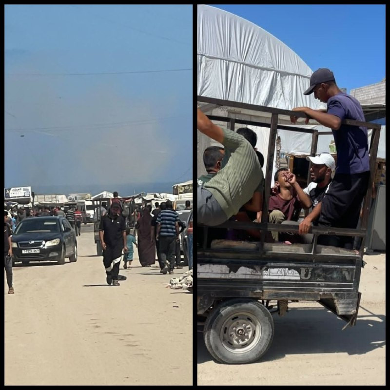 صورة الخبر