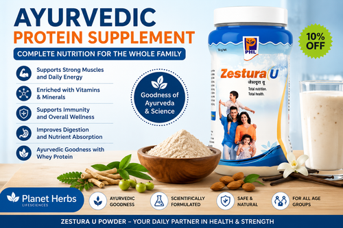 Ayurvedic Protein Supplement for Daily Nutrition | Zestura U Powder.png