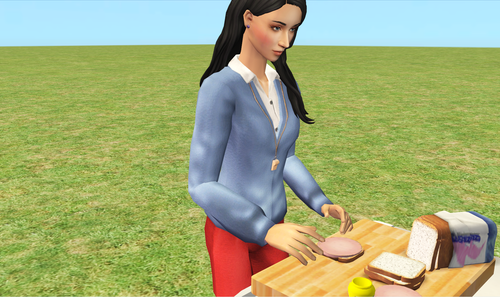 2026 07 10 23 29 04 The Sims™ 2 Mansion and Garden Stuff.png