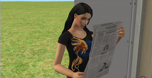 2026 07 10 23 27 17 The Sims™ 2 Mansion and Garden Stuff.png