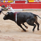 CEgw7jt.th.jpg