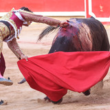 CEgwoGa.th.jpg