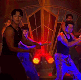 wild 05.gif