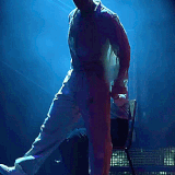 wild 09.gif
