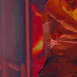 wild 11.gif