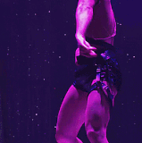 wild 01.gif